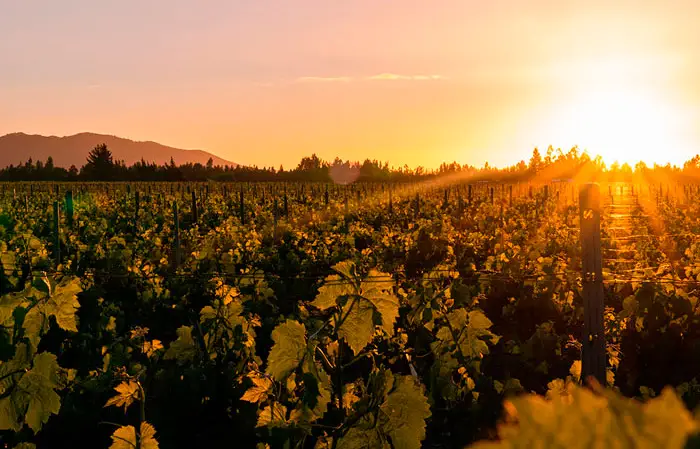 slider-mixtio-02